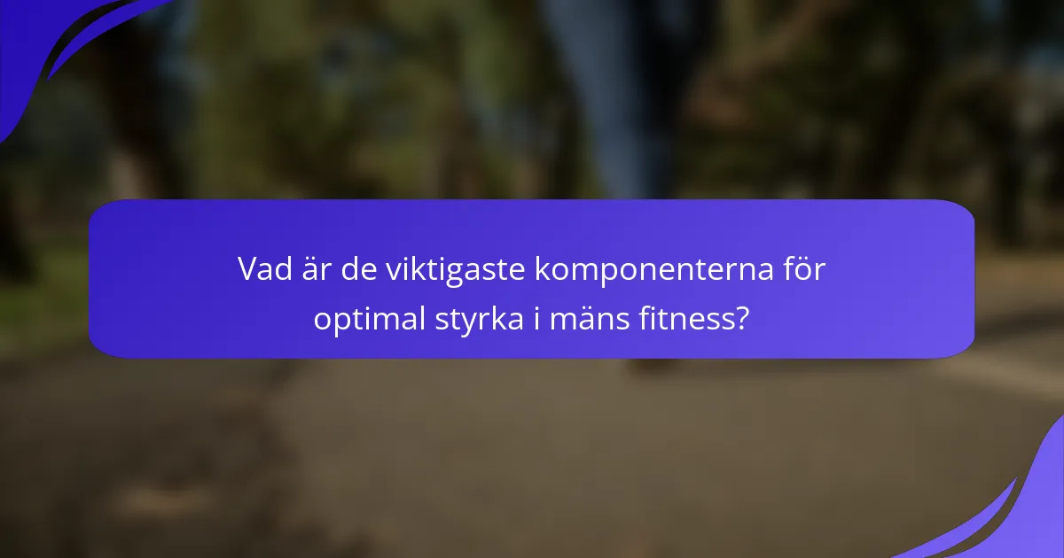Vad är de viktigaste komponenterna för optimal styrka i mäns fitness?