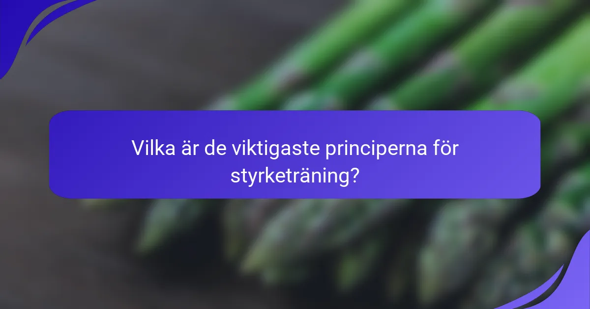 Vilka är de viktigaste principerna för styrketräning?